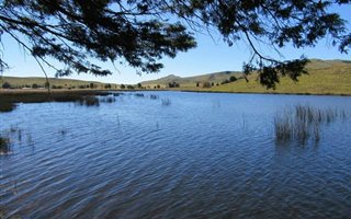 300 ha Farm in Dargle