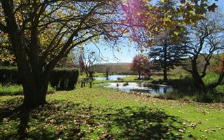 300 ha Farm in Dargle