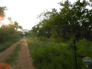 21.2 ha Farm in Modimolle