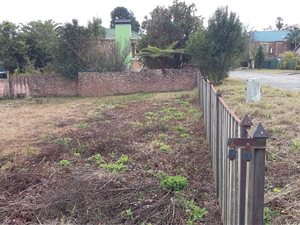 1115 m² Land available in Graskop