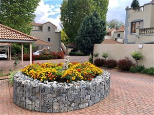 2 Bed Apartment in Melrose