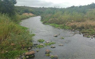 1000 m² Land available in Presidentsrus