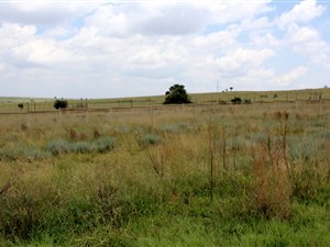 654 m² Land available in Wildtuinpark