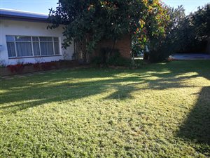 3 Bed House in Herlear
