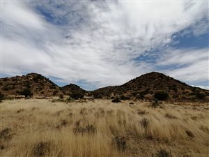 2516 ha Farm in Fauresmith