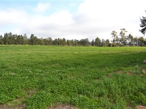 57.9 ha Farm in Swellendam