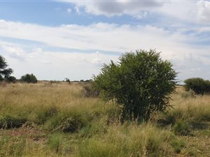 62 ha Farm in Vryburg