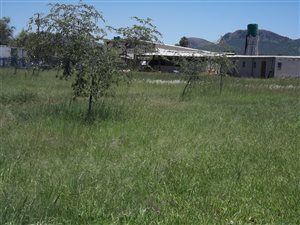 8565 m² Farm in Melodie
