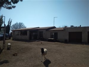 1.7 ha Farm in Sundra