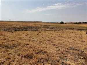 2.5 ha Land available in Jameson Park