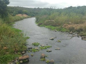 1000 m² Land available in Presidentsrus