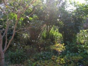1414 m² Land available in Groenkloof
