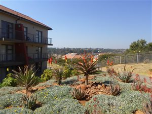 1 Bed Apartment in Willowbrook