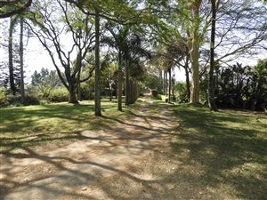 292 ha Farm in Ballito