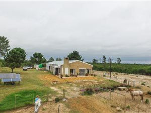 56.8 ha Farm in Albertinia