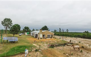 56.8 ha Farm in Albertinia