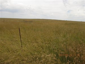 534 ha Farm in Boshof