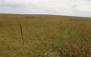 534 ha Farm in Boshof