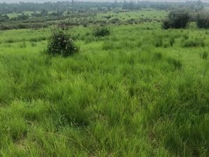 10 ha Land available in Cato Ridge