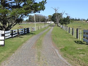 5 ha Farm in Chelsea