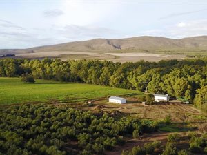 35 ha Farm in Bonnievale