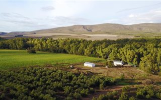 35 ha Farm in Bonnievale