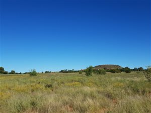 8.1 ha Smallholding in Bainsvlei