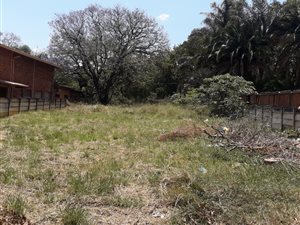1428 m² Land available in Louis Trichardt