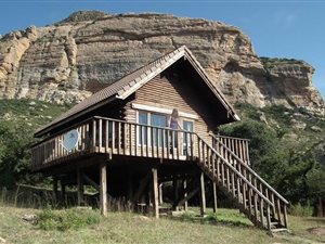 981 m² Farm in Harrismith