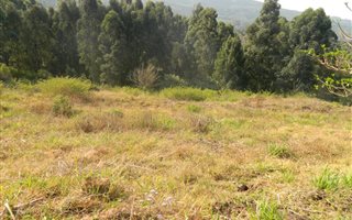 1599 m² Land available in Victoria Country Club Estate