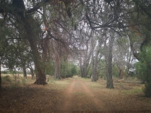 1.7 ha Farm in Ventersdorp