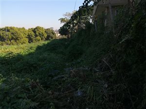 746 m² Land available in Sydenham