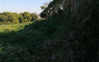 746 m² Land available in Sydenham