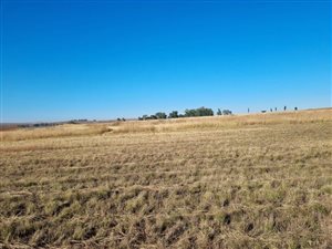 242 ha Farm in Dannhauser