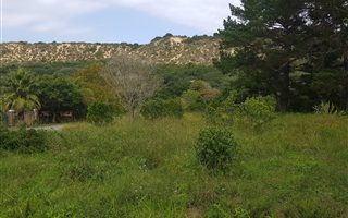 763 m² Land available in Meedingsride
