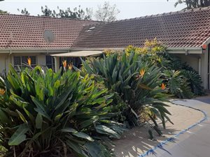 3 Bed House in Constantia Park