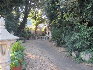 3 Bed House in Heidelberg Central