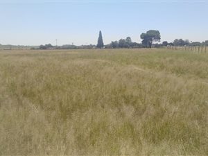 2.2 ha Farm in Vischkuil