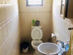 2 Bed Cluster in Kensington B
