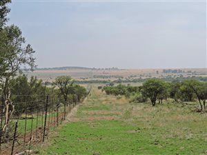 Farm in Brandfort