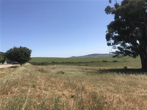 2331 m² Land available in Riebeek West