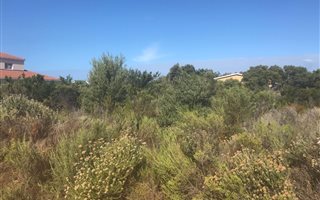 1130 m² Land available in Bettys Bay