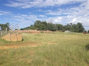 214 ha Farm in Vryburg