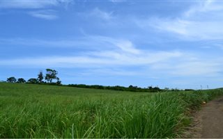 3 ha Farm in Ballito