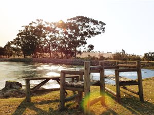 16 ha Farm in Klapmuts
