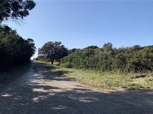 944 m² Land available in Cannon Rocks