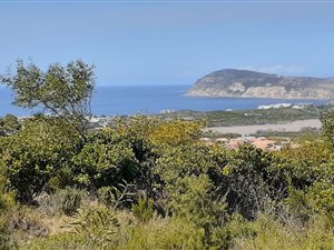 998 m² Land available in Whale Rock