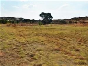 2.4 ha Land available in Hesteapark