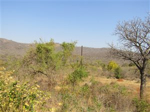 37.6 ha Land available in Modjadjiskloof