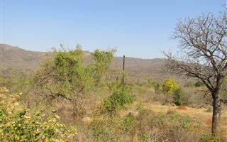 37.6 ha Land available in Modjadjiskloof